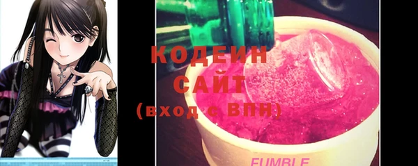 ГАЛЛЮЦИНОГЕННЫЕ ГРИБЫ Бородино