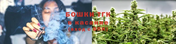дмт Бронницы