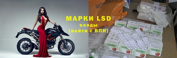 ГАЛЛЮЦИНОГЕННЫЕ ГРИБЫ Бородино