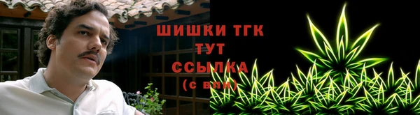 дмт Бронницы