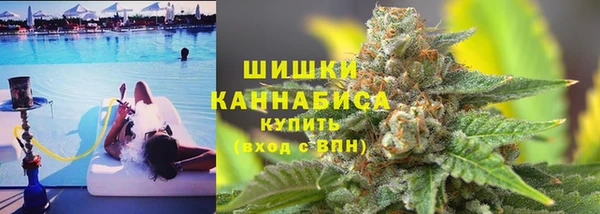 ГАЛЛЮЦИНОГЕННЫЕ ГРИБЫ Бородино
