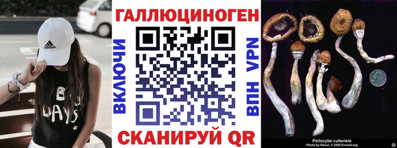 Галлюциногенные грибы Cubensis  Купить где  Красноперекопск 