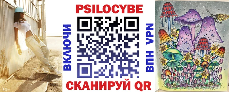 Псилоцибиновые грибы Psilocybe Красноперекопск